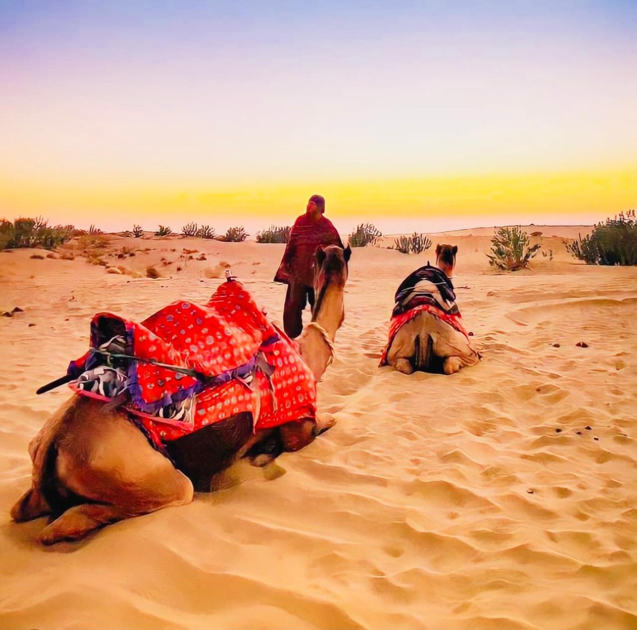 Jaisalmer Hostel Crowd מראה חיצוני תמונה